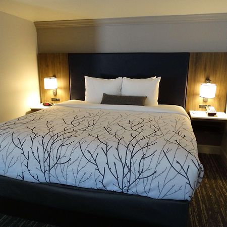 Best Western Premier Denver East Oda fotoğraf