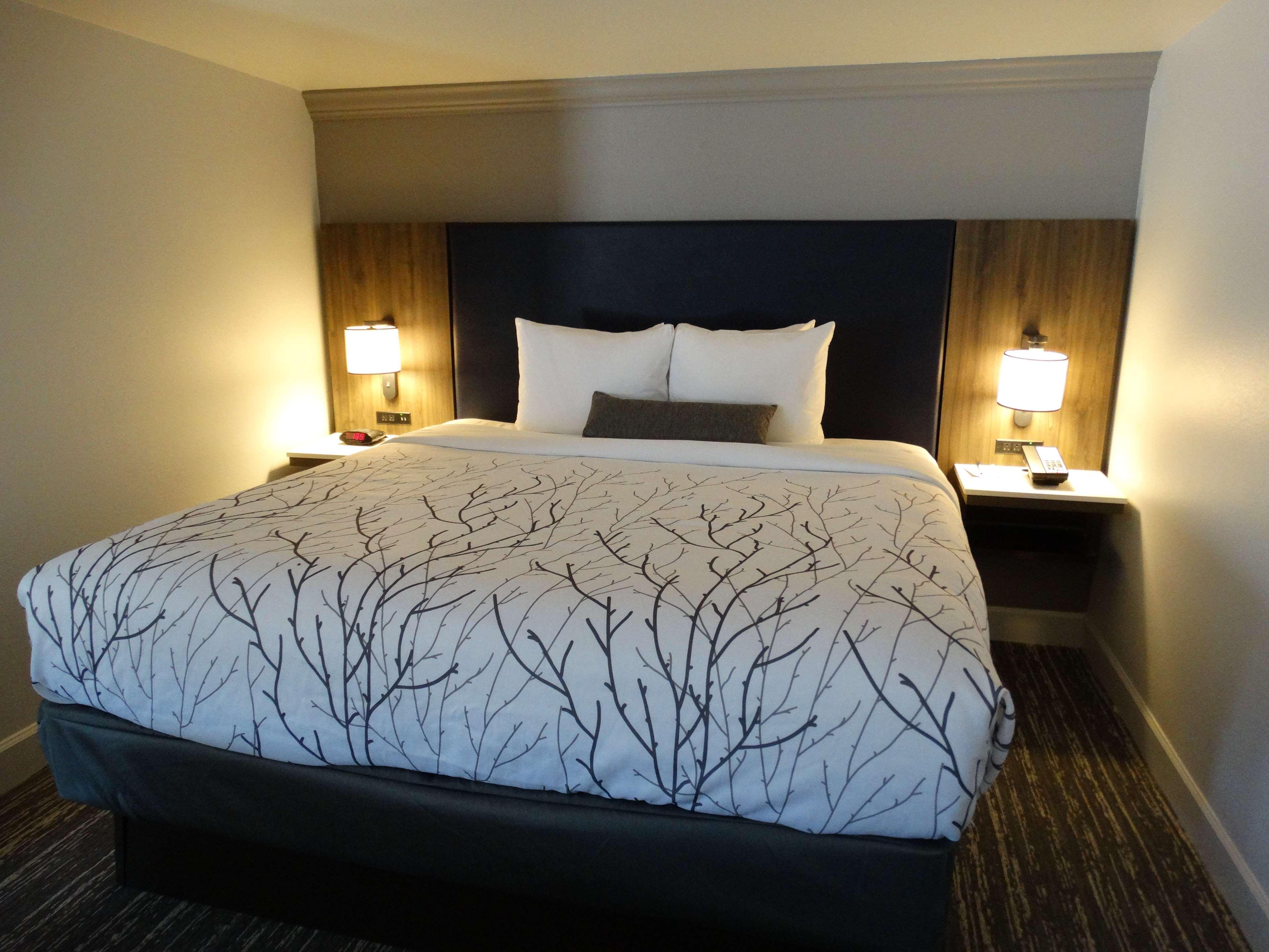 Best Western Premier Denver East Oda fotoğraf
